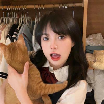 呆瓜向前冲